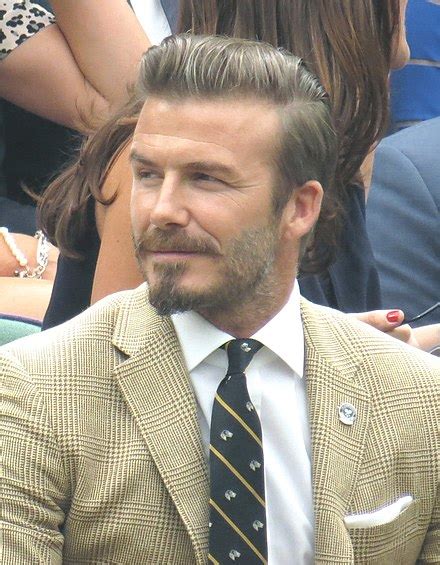 david beckham wiki|dave beckham today.